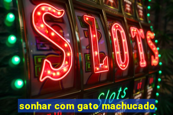 sonhar com gato machucado